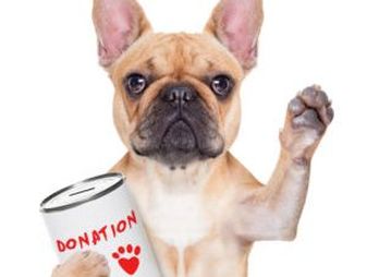 Funny picture of donation for dog shelter